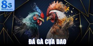 Đá Gà Cựa Dao
