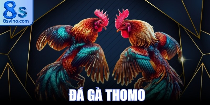 Đá Gà Thomo