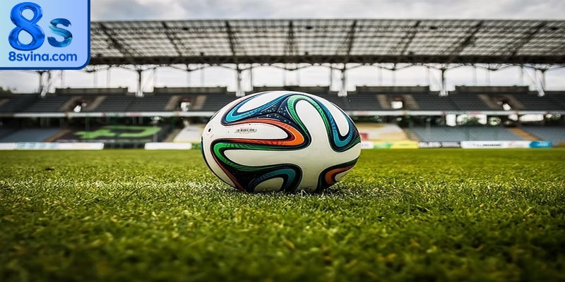 Hãy dành thời gian để nghiên cứu thật kỹ các trận đấu sắp tới