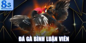Đá Gà Bình Luận Viên