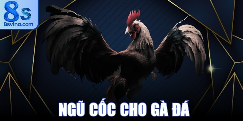 Ngũ Cốc Cho Gà Đá